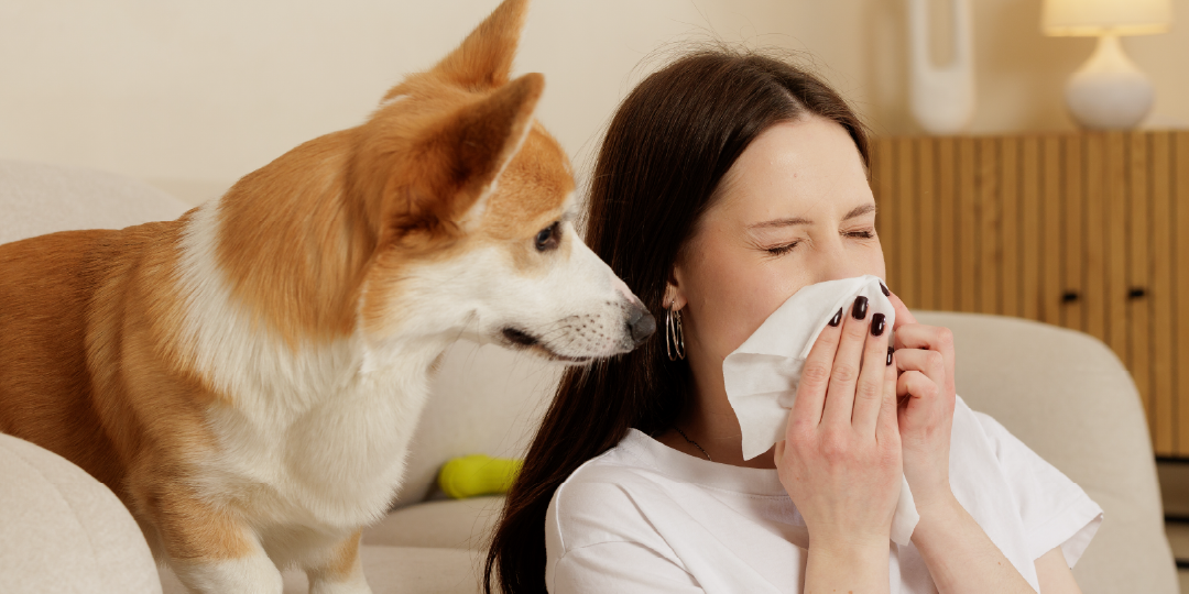woman sneezing near her dog 